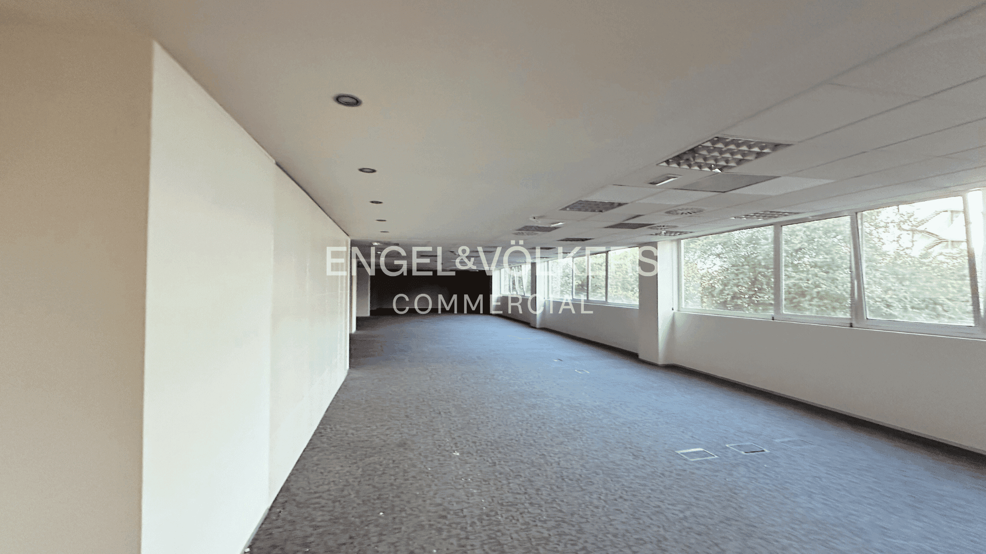 Oficina diáfana con mucha luz – Marina del Prat Vermell